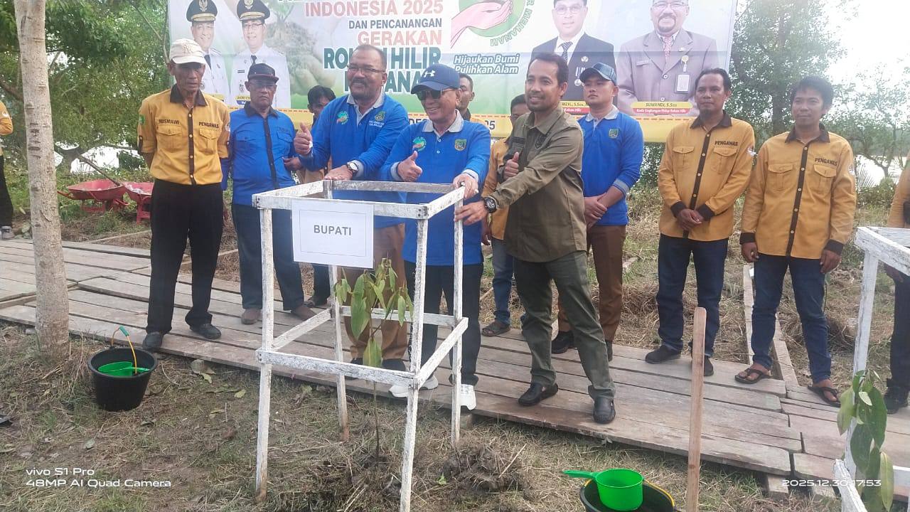 Bupati Rohil Canangkan Gerakan Rohil Menanam, 2.000 Bakau Ditanam di ...