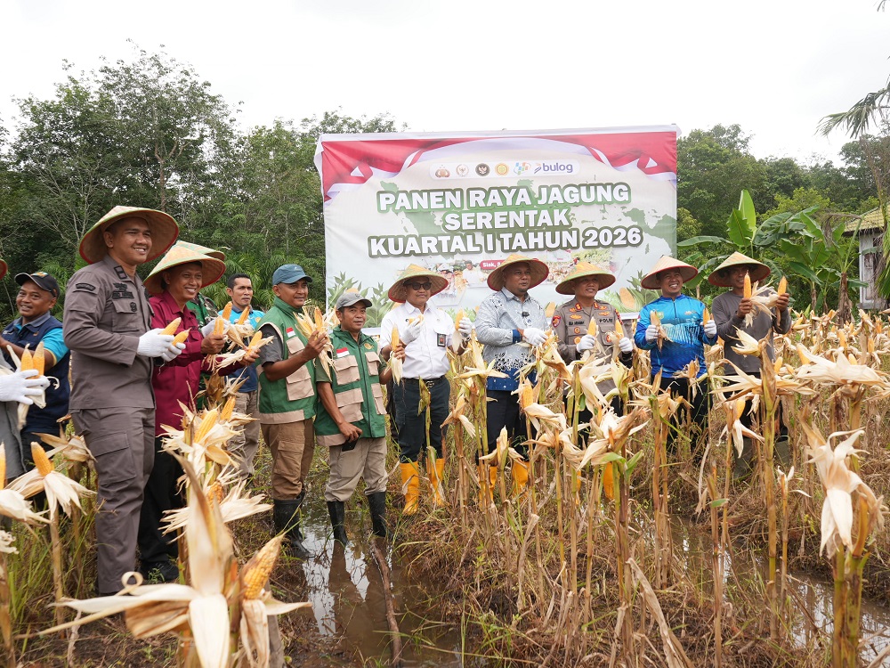 Polres Siak Bersama Pemkab Gelar Panen Raya Jagung, Perkuat Ketahanan Pangan Daerah