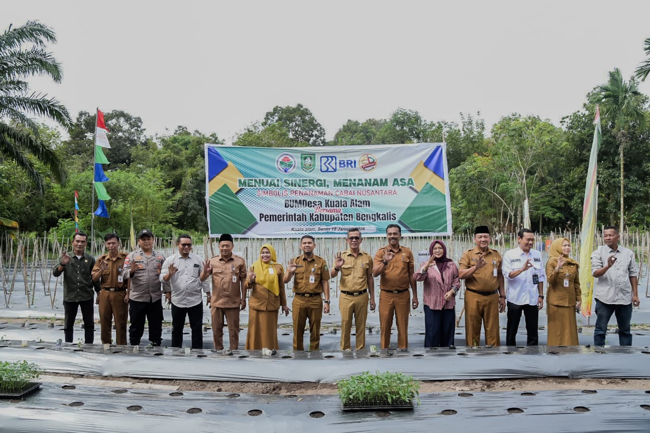 Dukung Swasembada Pangan dan Kendalikan Inflasi, Bupati Bengkalis Tanam Cabai Nusantara