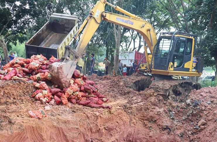 Polres Pelalawan Musnahkan 20,7 Ton Bawang Merah, Bombai, dan Putih Ilegal