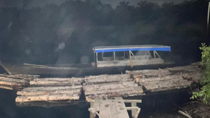Polda Riau Bongkar Illegal Logging di Bengkalis, Amankan 3 Pelaku dan Kayu Gelondongan
