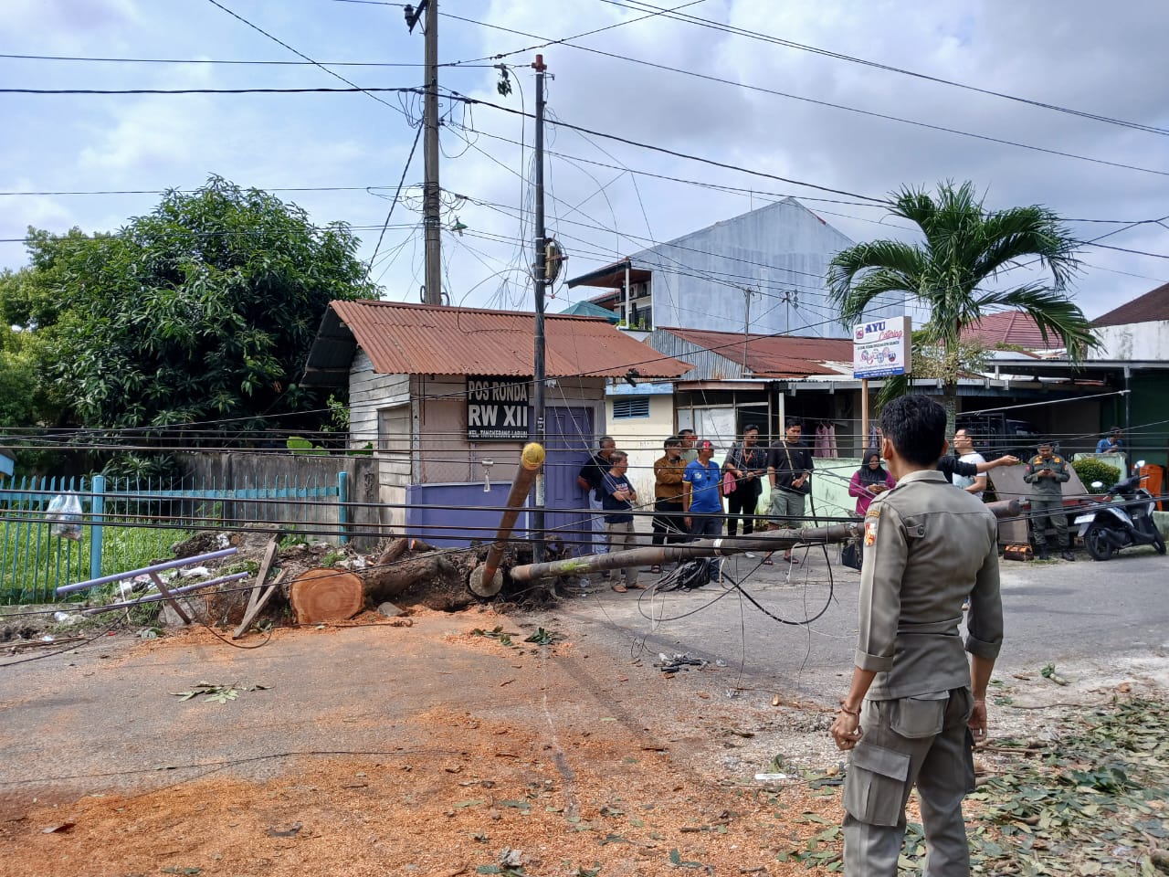 Pemko Pekanbaru Tegur Operator Telekomunikasi Usai Tiang Fiber Optik Tumbang di Jalan Rindang