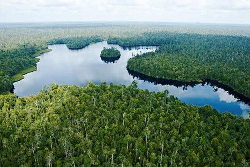 Bupati Siak Dukung Pembentukan UPT Taman Nasional Zamrud, Optimalkan Konservasi dan Manfaat Masyarak