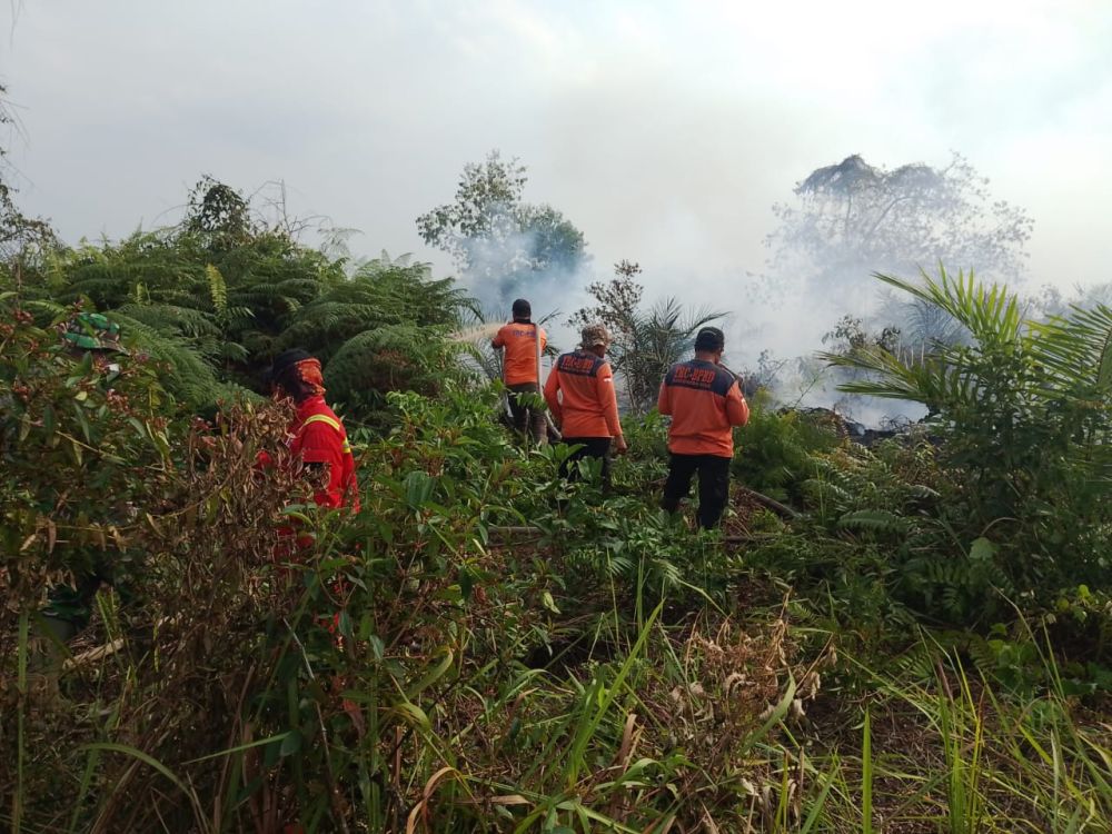 Tim Gabungan Terus Berjuang Padamkan Karhutla di Pelalawan