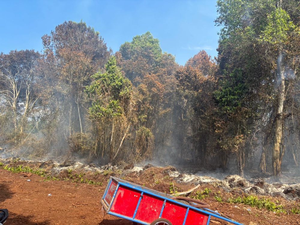 Bakar 5 Hektare Hutan di Bukit Batu, Polisi Tetapkan Warga Bengkalis Jadi Tersangka