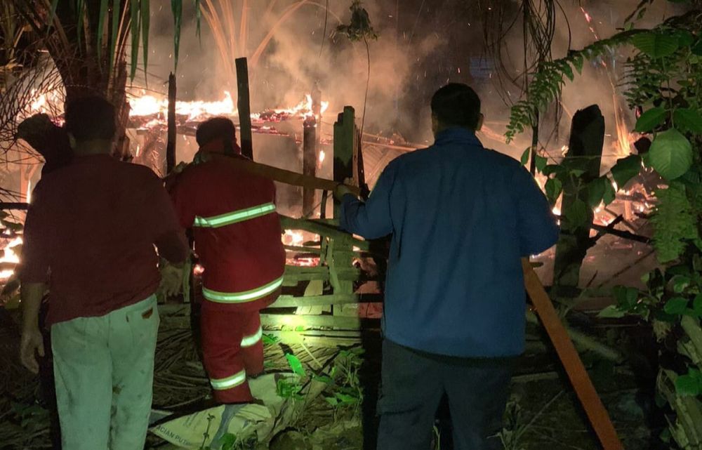 Alahmak! Diduga dari Api Unggun, Puluhan Ternak Warga Kuansing Hangus Terbakar