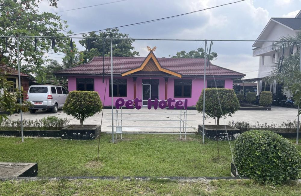 UPT LVLH Riau Hadirkan Pet Hotel Modern di Pekanbaru, Layanan Inap Premium Khusus Kucing