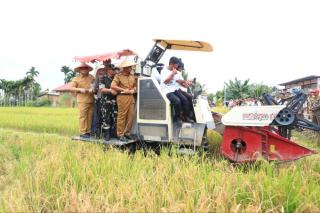 Panen Padi di Kampar, Wamentan Sudaryono Tegaskan Komitmen Swasembada Pangan Presiden Prabowo