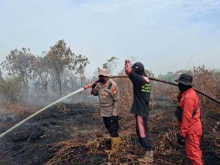 Karhutla Kembali Meluas, Tim Gabungan Padamkan 10 Hektare Lahan Gambut di Rupat