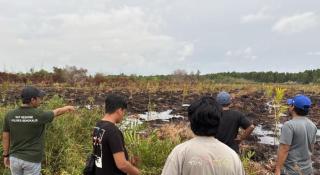 Alahmak! Niat Bakar Sarang Tawon, Pria di Bengkalis Malah Picu Karhutla 3 Hektare