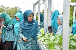 Ketua TP PKK Siak Apresiasi Panen Perdana Hidroponik KWT Benteng Lestari