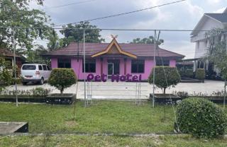 UPT LVLH Riau Hadirkan Pet Hotel Modern di Pekanbaru, Layanan Inap Premium Khusus Kucing