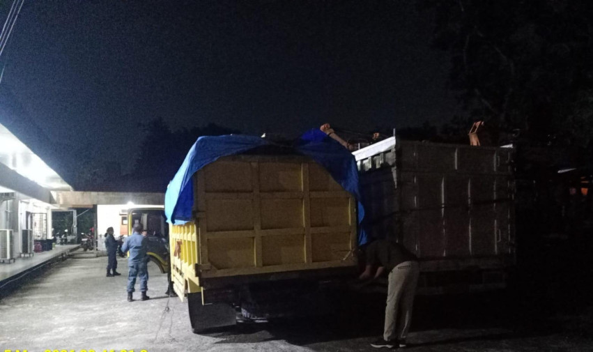 BBKSDA Riau Gagalkan Pengangkutan Kayu Ilegal di SM Kerumutan, Dua Truk dan Pelaku Diamankan