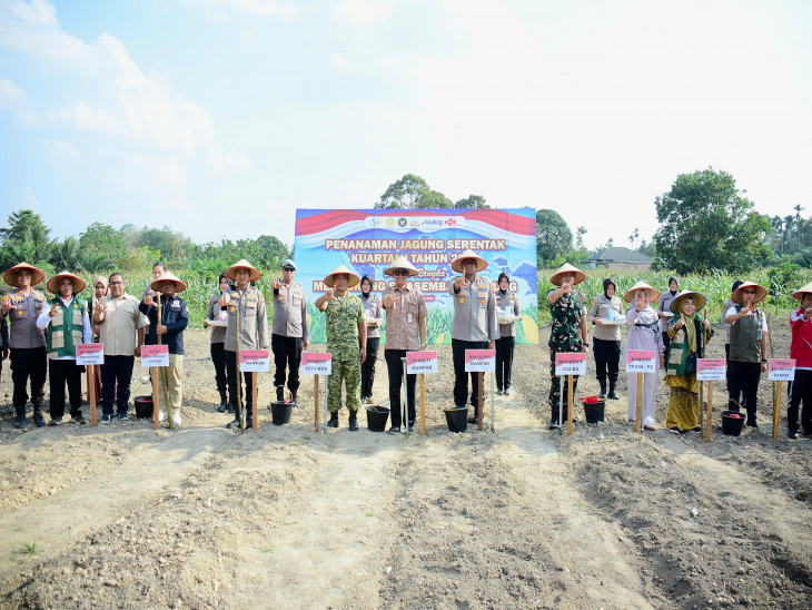 Pemkab dan Polres Kampar Tanam Jagung Pipil Serentak di Desa Ridan Permai