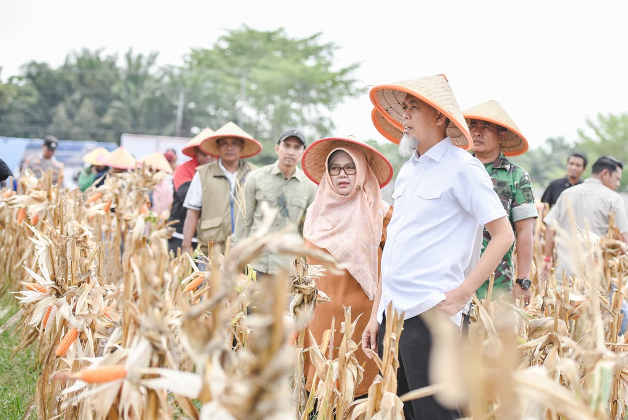 Wali Kota Paisal dan Kapolres Dumai Tanam Jagung Serentak, Dukung Program Swasembada Pangan