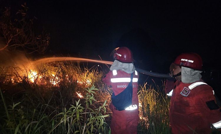 Manggala Agni Padamkan Karhutla di Riau, Tetap Waspada Hadapi Harimau Sumatera