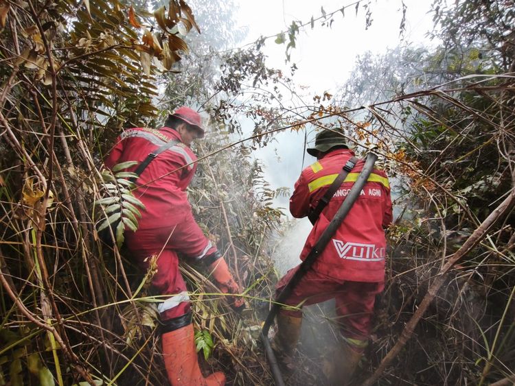 Kemenhut Kerahkan Manggala Agni Amankan Jalur Mudik Sumatera dari Ancaman Karhutla