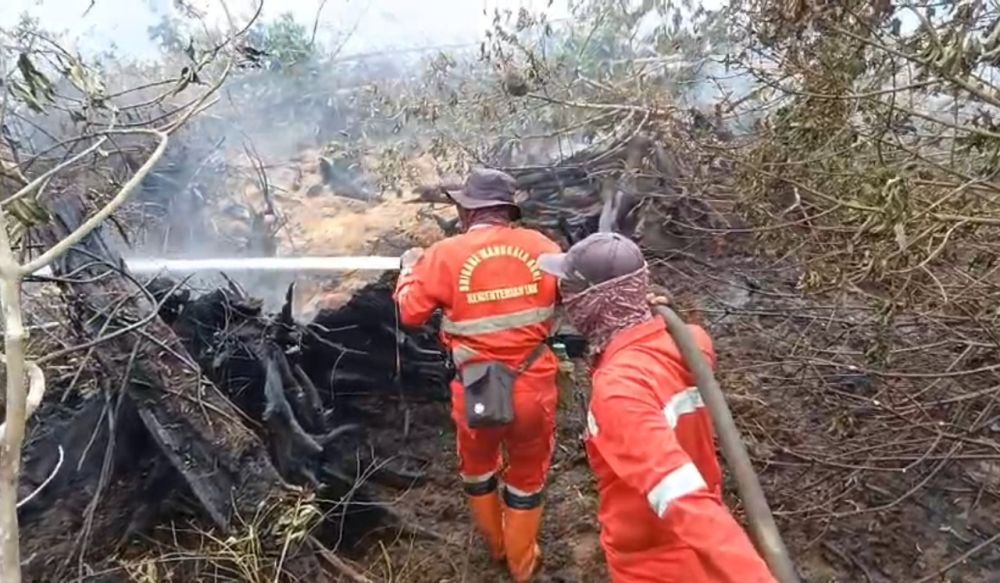 Karhutla Riau Capai Ribuan Hektare, Sejumlah Titik Masih Aktif Dipadamkan