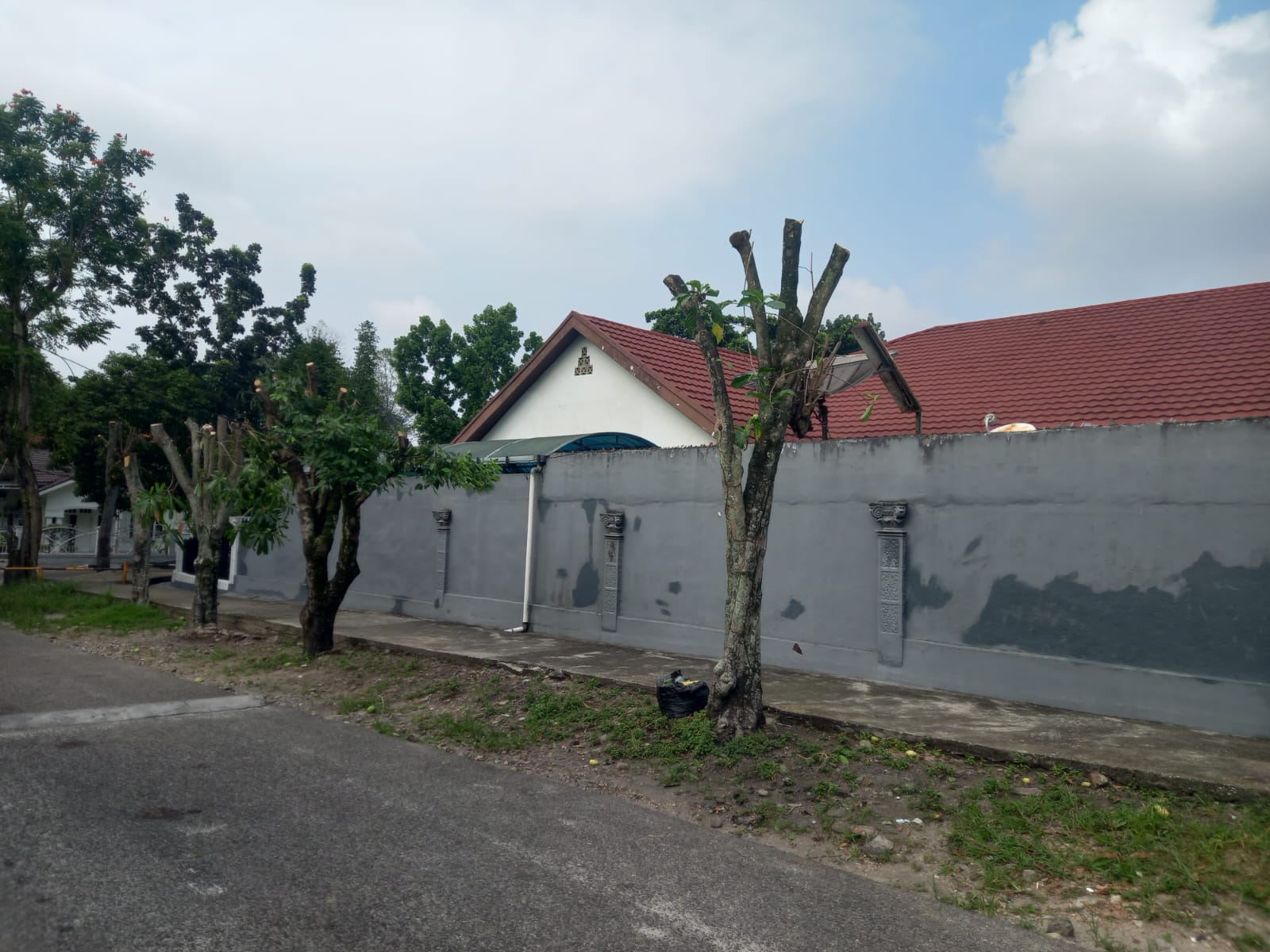 Pohon Pelindung di Belakang Aryaduta Ditebang OTK, DLHK Pekanbaru Siap Tindak Pelaku