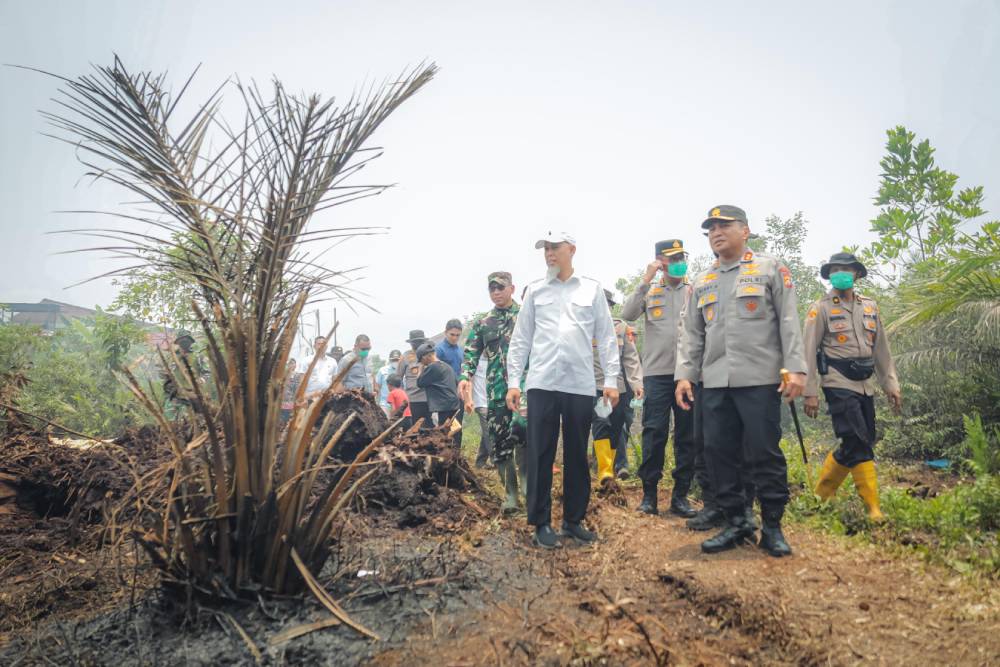 Wali Kota Dumai dan Kapolda Riau Tinjau Pemadaman Karhutla di Tanjung Palas