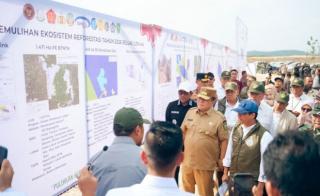 Plt Gubri Lapor Soal Kebutuhan Lahan Alternatif untuk Percepat Pemulihan TNTN