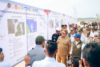 Pemulihan Taman Nasional Tesso Nilo Dikebut, Target 66.704 Hektare Rampung pada 2028