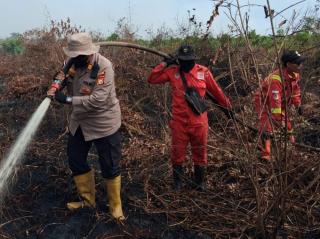 Cegah Kabut Asap, Lima Daerah di Riau Tetapkan Status Siaga Karhutla