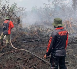 Lima Titik Karhutla di Riau Masih Ditangani, Tim Gabungan Terus Berjibaku Padamkan Api