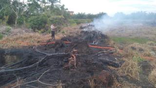 Kepergok Saat Bakar Lahan, Pria di Rokan Hilir Ditangkap Polisi saat Api Masih Berkobar