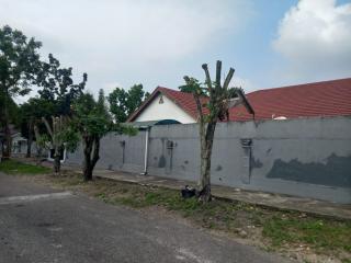 Pohon Pelindung di Belakang Aryaduta Ditebang OTK, DLHK Pekanbaru Siap Tindak Pelaku
