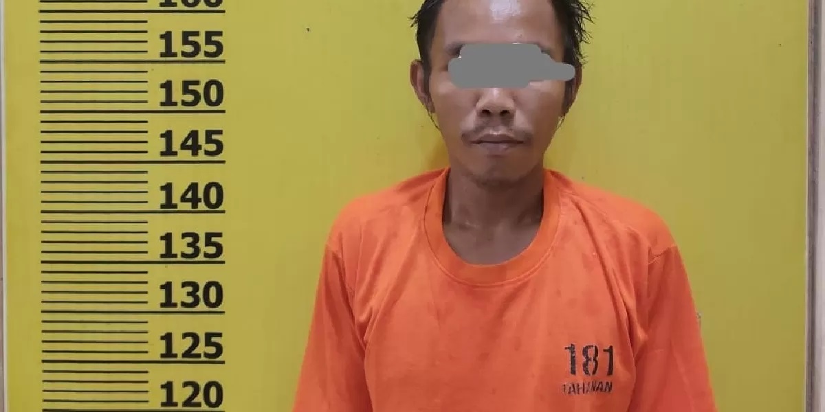 Curi Ratusan Tandan Sawit, Pria di Kerumutan Ditangkap Polisi