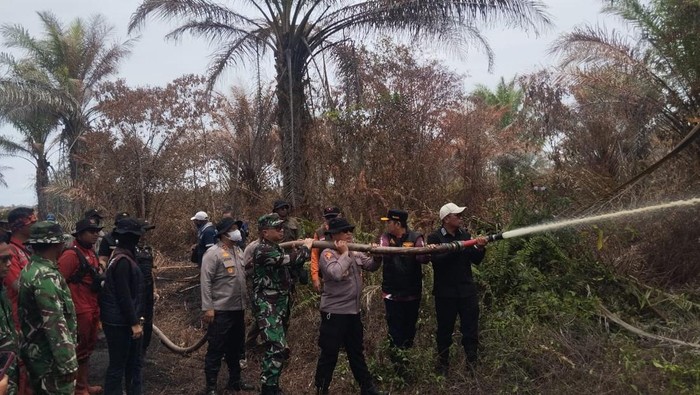 Tembus Jalur Harimau Sumatera, Tim Gabungan Berhasil Padamkan Karhutla di Pelalawan