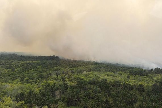 Waspada El Nino 2026, Pemprov Riau Turunkan Tim Pantau Daerah Rawan Kekeringan