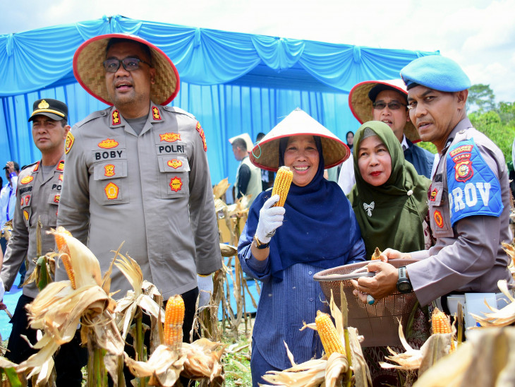 Pemkab Kampar Gelar Panen Raya Jagung Pipil, Dukung Program Swasembada Pangan 2026