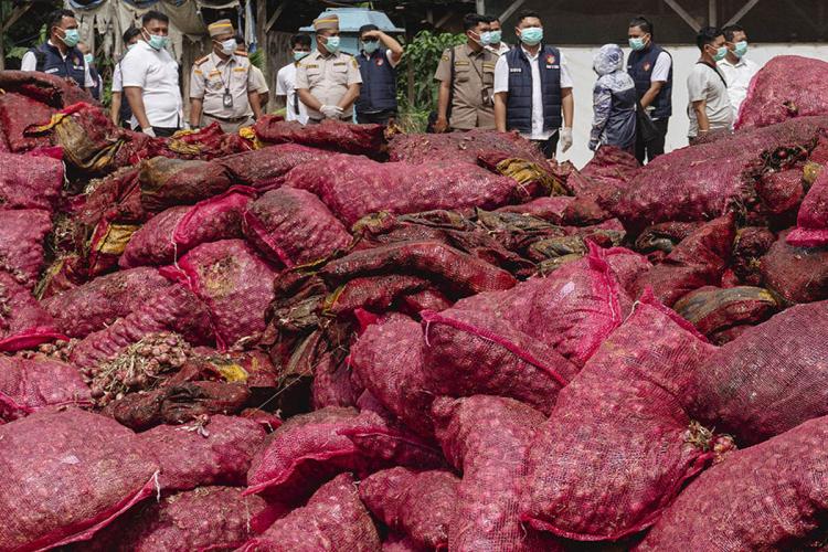Upaya Penyelundupan ke Tembilahan Digagalkan, Puluhan Ton Bawang Ilegal Dimusnahkan