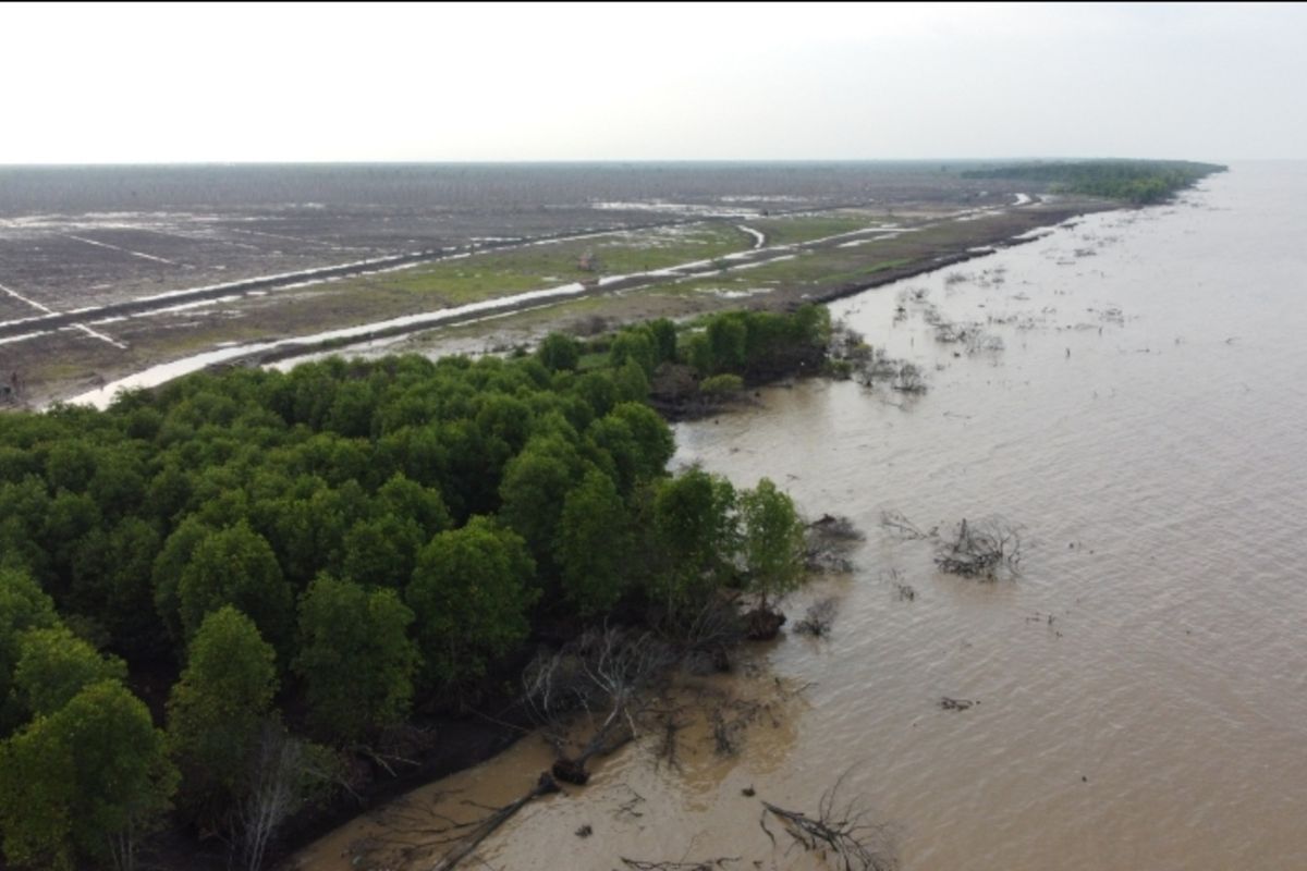 Kapolda Riau Geram, Kerusakan Mangrove di Meranti Diduga Akibat Cukong Arang