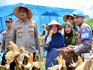 Pemkab Kampar Gelar Panen Raya Jagung Pipil, Dukung Program Swasembada Pangan 2026
