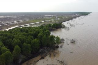 Kapolda Riau Geram, Kerusakan Mangrove di Meranti Diduga Akibat Cukong Arang