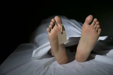 Tragedi di Rokan Hilir: Bocah 4 Tahun Meninggal Usai Diperkosa Kakek Sendiri