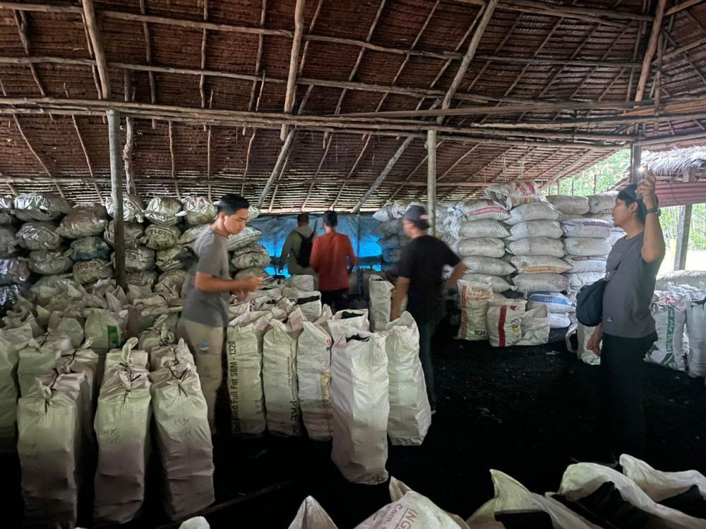 Polda Riau Bongkar Mafia Mangrove, 100 Ton Arang Ilegal Tujuan Malaysia Disita