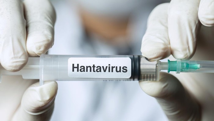 Antisipasi Hantavirus Jadi KLB, Kemenkes Gerak Cepat Siapkan 198 RS