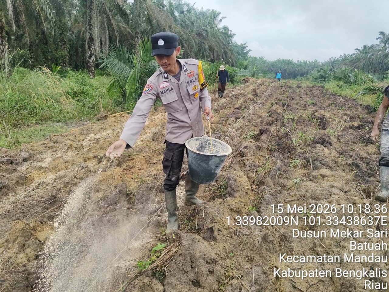 Dukung Program Ketahanan Pangan Nasional, Polsek Mandau Intensif Kelola Lahan Jagung