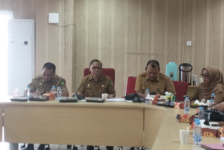 Sinkronisasi Data DAU 2027, Pemkab Rohil Gesa Validasi Bersama OPD dan BPS