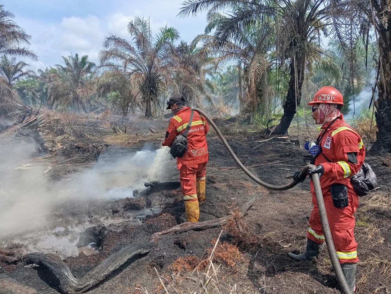 Karhutla di Riau Meluas, Dua Titik Baru Muncul di Pelalawan