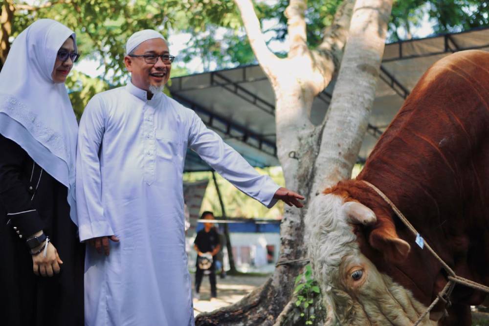 Sekdako Fahmi Sembelih Langsung Sapi Kurban Bantuan Presiden Prabowo di Masjid Al-Manan