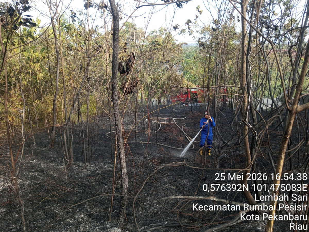 Wako Pekanbaru Tetapkan Status Siaga Darurat Karhutla, 61 Kejadian Terjadi Sejak Awal Tahun
