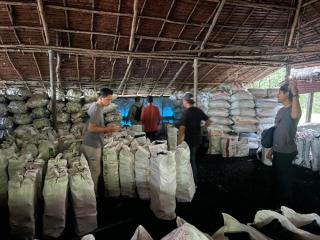 Polda Riau Bongkar Mafia Mangrove, 100 Ton Arang Ilegal Tujuan Malaysia Disita