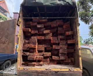 Polda Riau Bongkar Dugaan Illegal Logging di Cagar Biosfer Giam Siak Kecil, 10 Kubik Kayu Disita