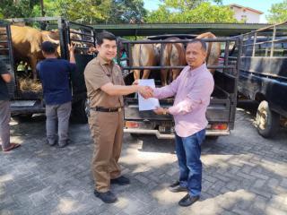 Kampar Siapkan 57 Hewan Kurban di Islamic Center Bangkinang Jelang Iduladha 1447 H