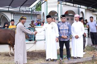 Bupati Asmar Serahkan Sapi Kurban Bantuan Presiden ke Panitia Masjid Ar-Rahmah